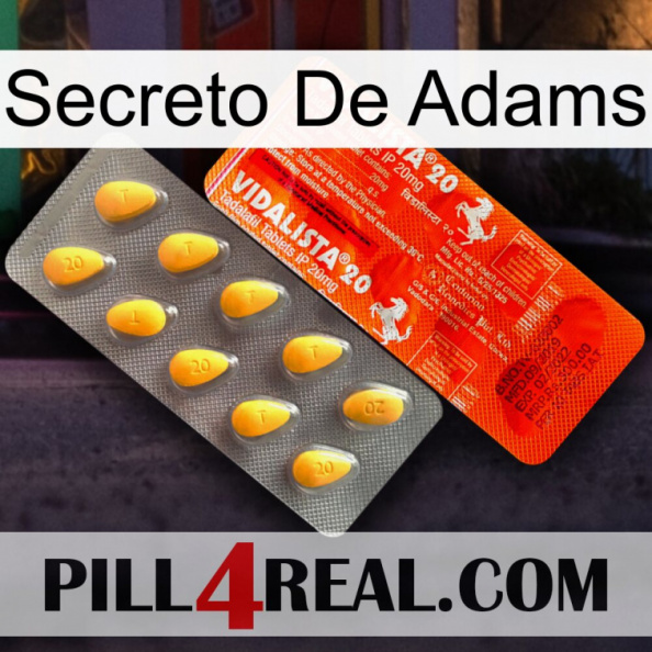 Adams Secret new01.jpg